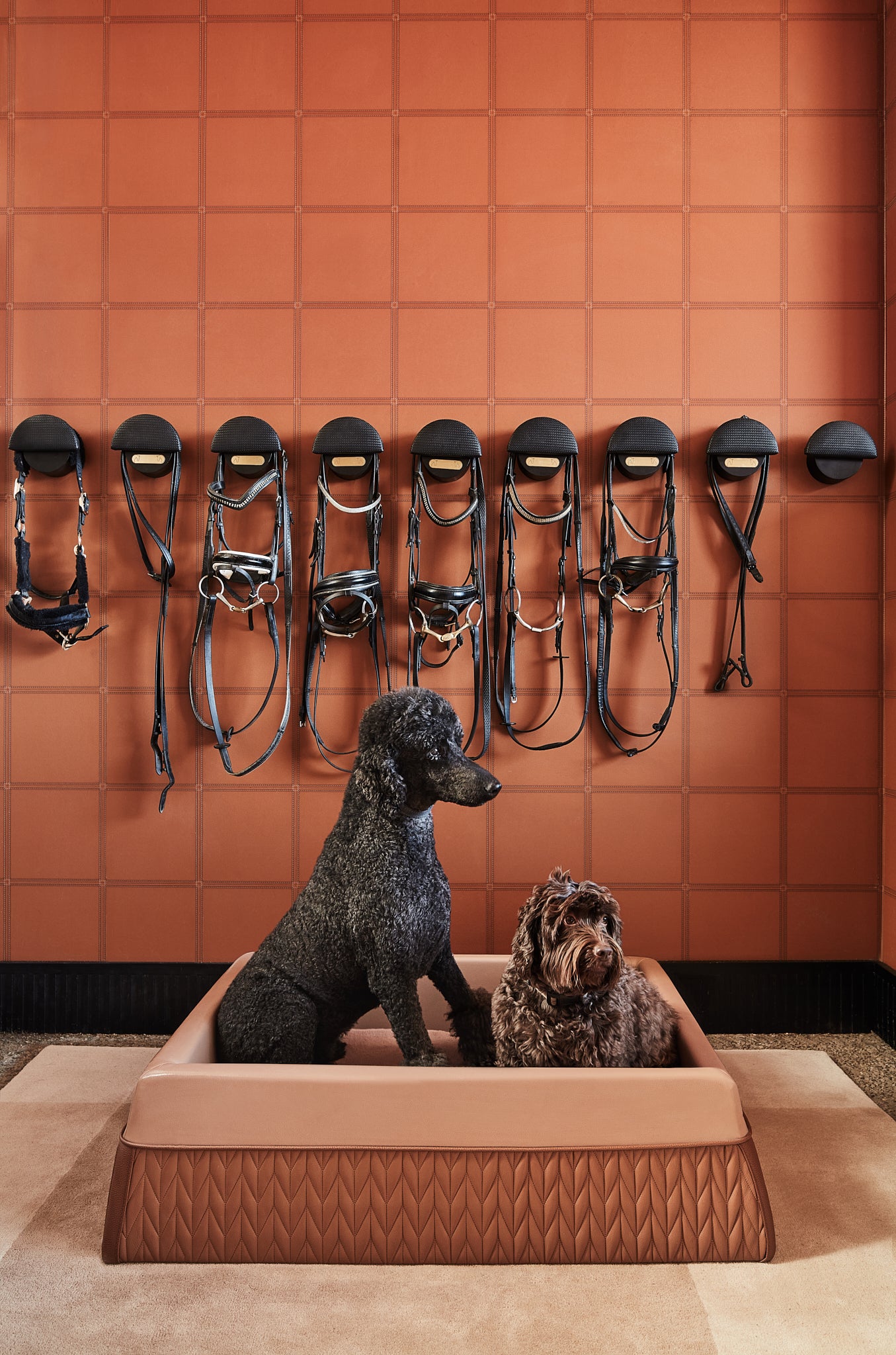 Zuster Designer Dog Bed