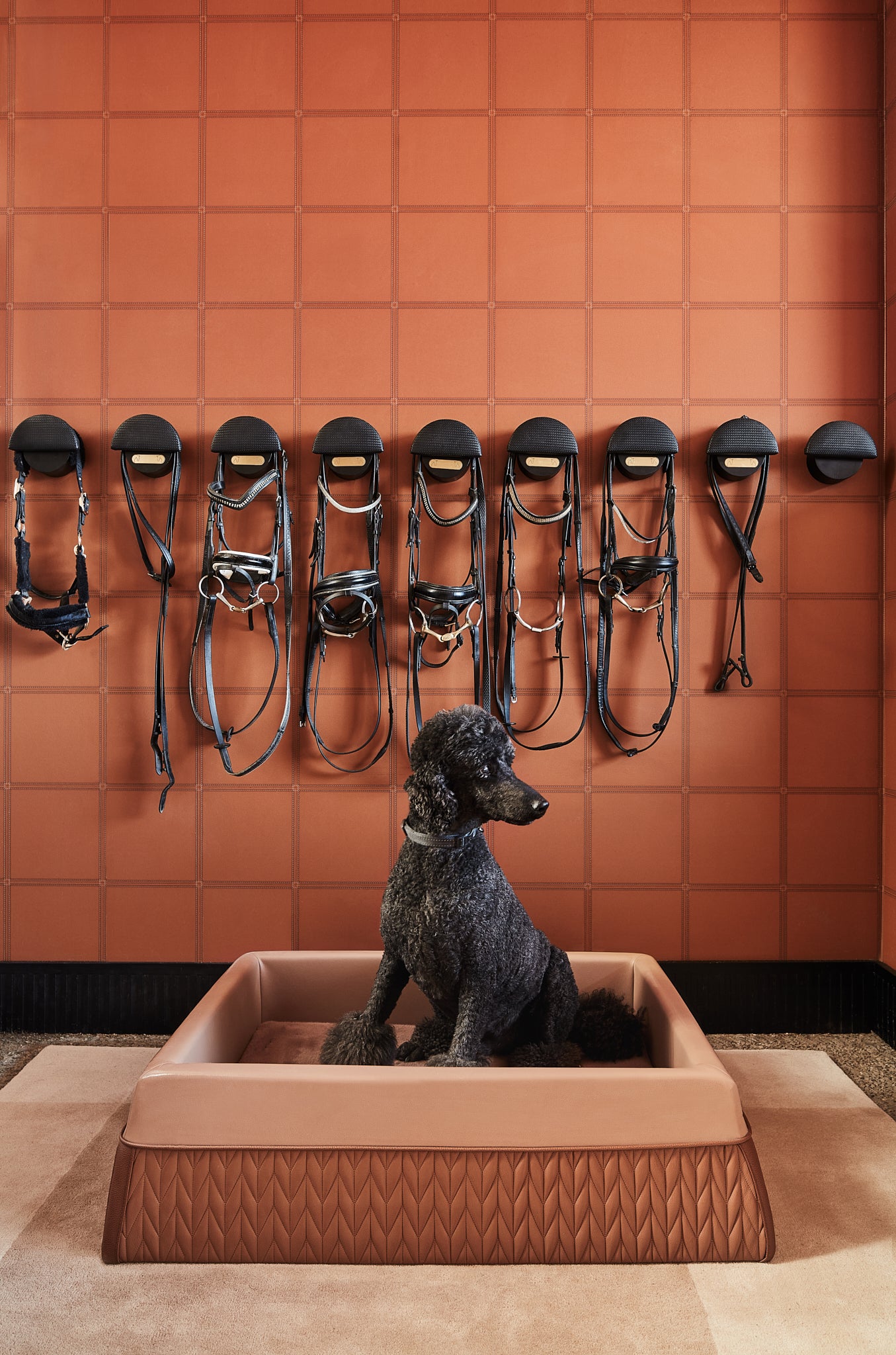 Zuster Designer Dog Bed
