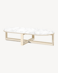 Cloud Oval Coffee Table - Zuster Furniture