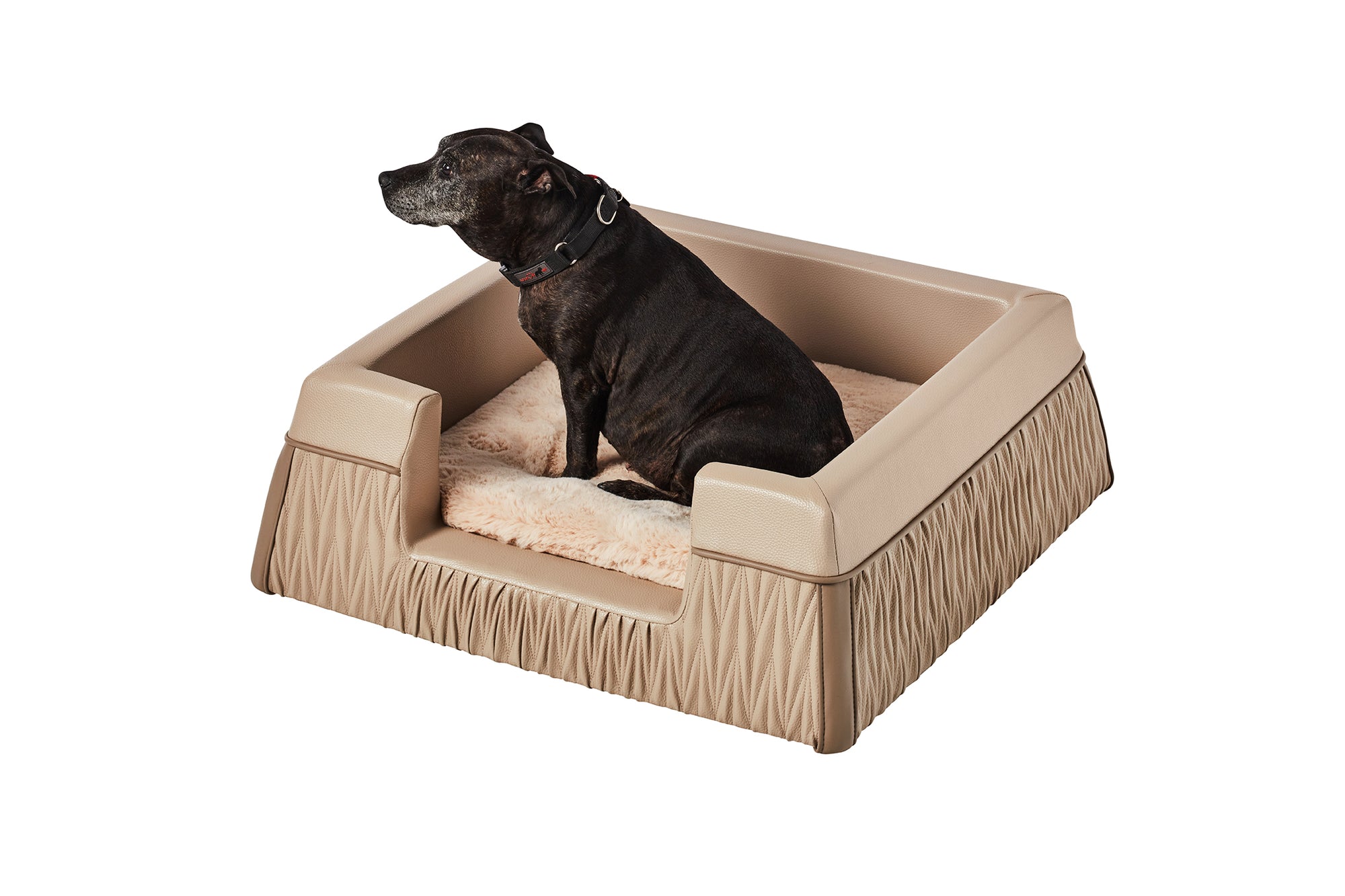 Zuster Designer Dog Bed