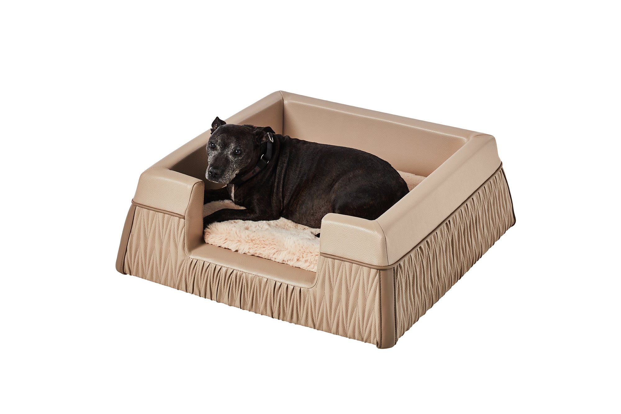 Zuster Designer Dog Bed