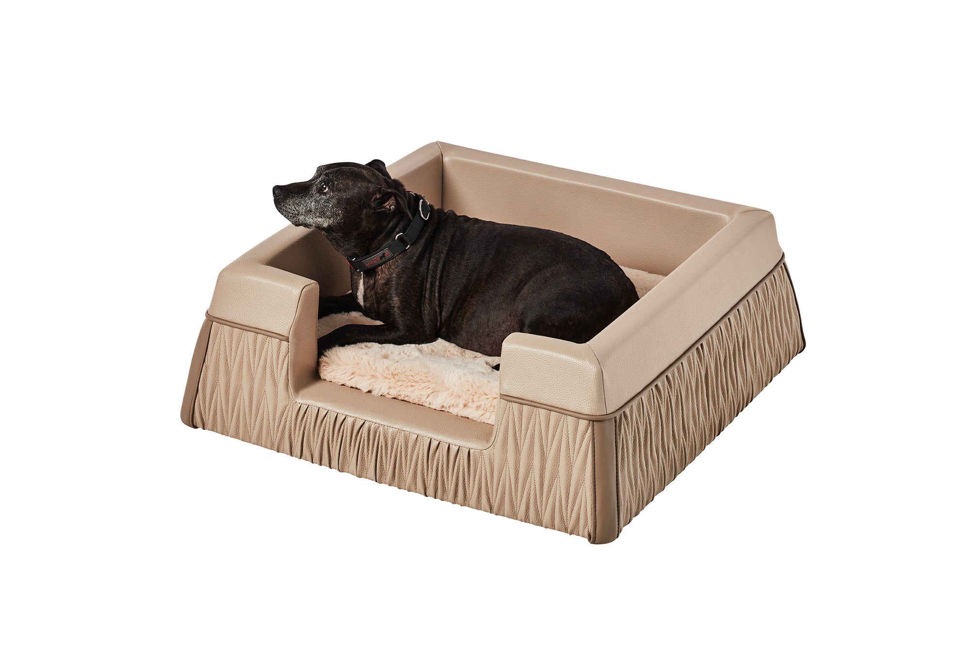 Zuster Designer Dog Bed