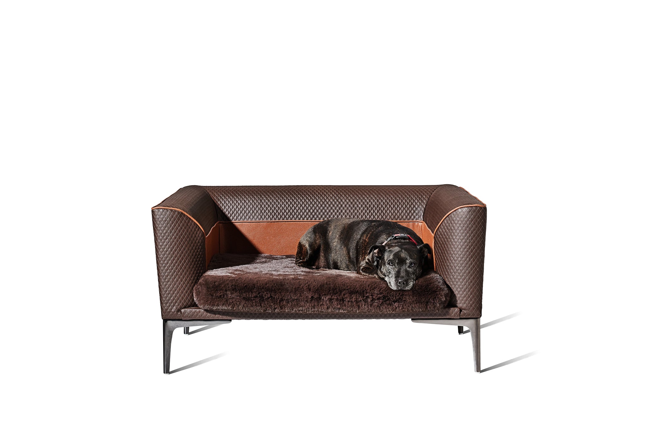 Zuster Dog Bed - Zuster Furniture