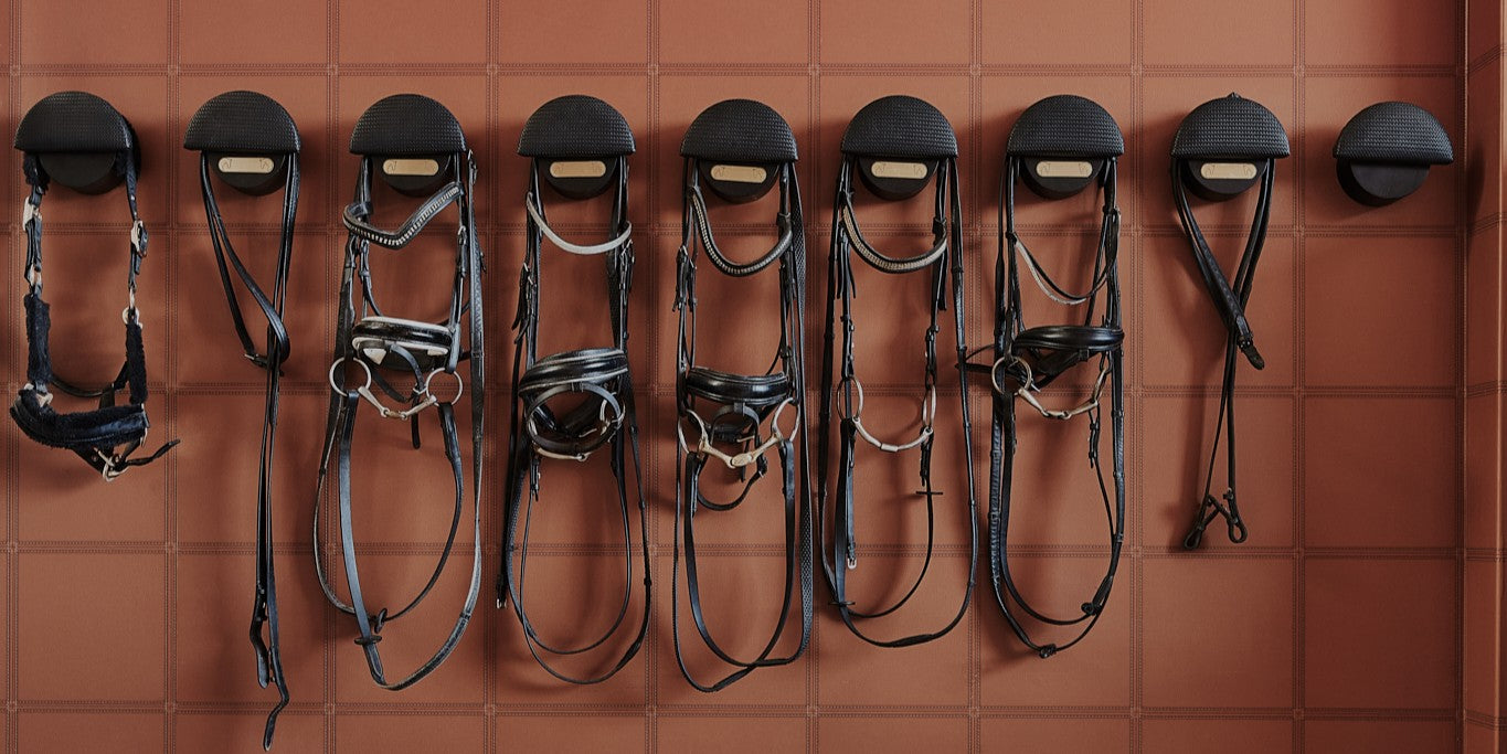 Zuster Equestrian