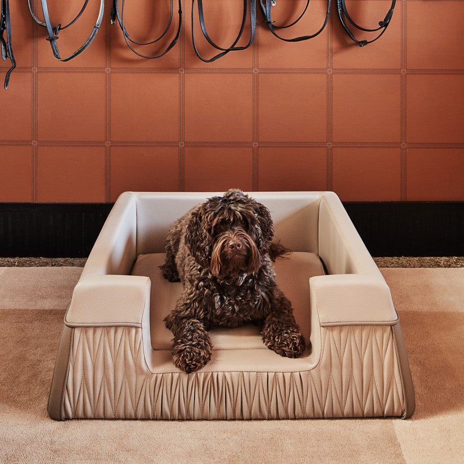 Dog Beds
