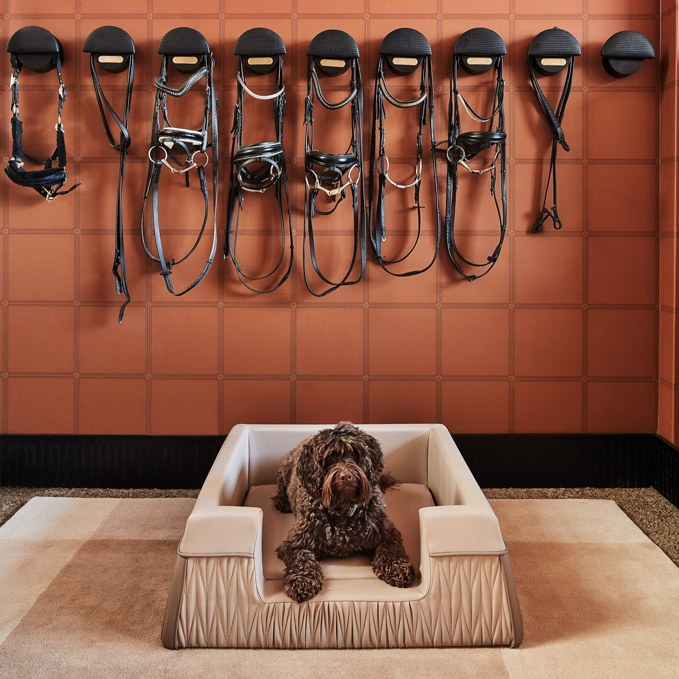 Zuster Designer Medium Dog Bed