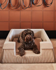 Zuster Designer Medium Dog Bed