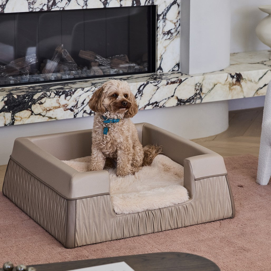 Zuster Designer Medium Dog Bed
