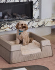 Zuster Designer Medium Dog Bed