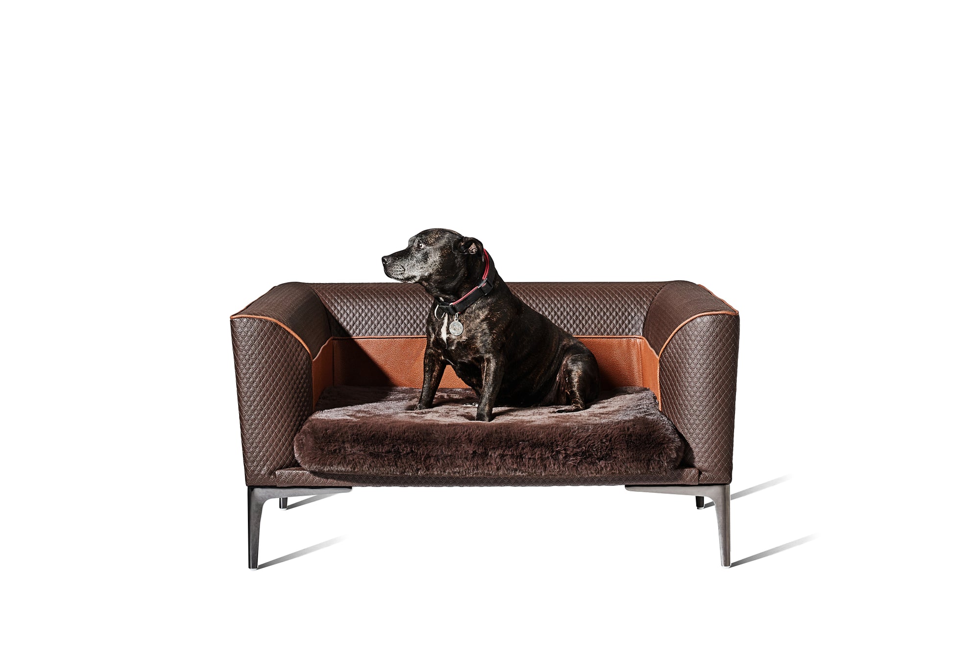 Zuster Dog Bed - Zuster Furniture